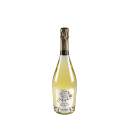 Amphora - Blanc de Blancs